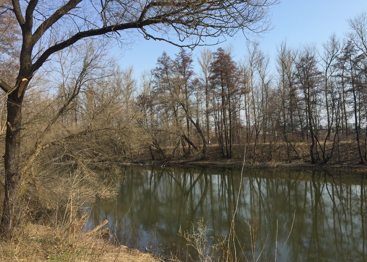 Река Тускарь. Весна.