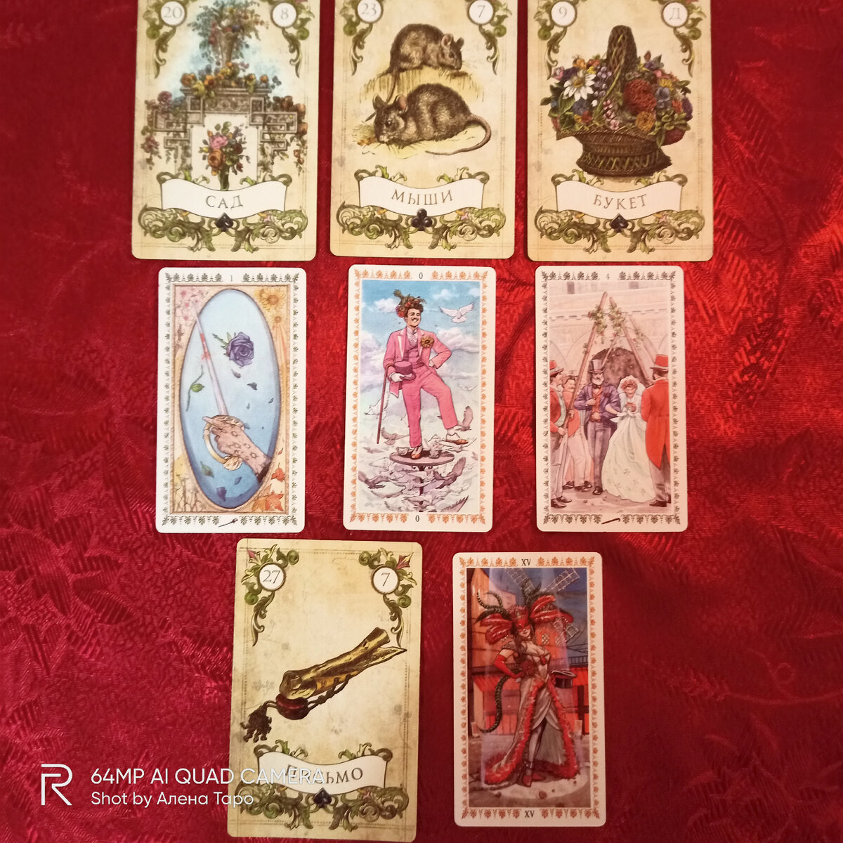 Фото автора канала Алена Таро