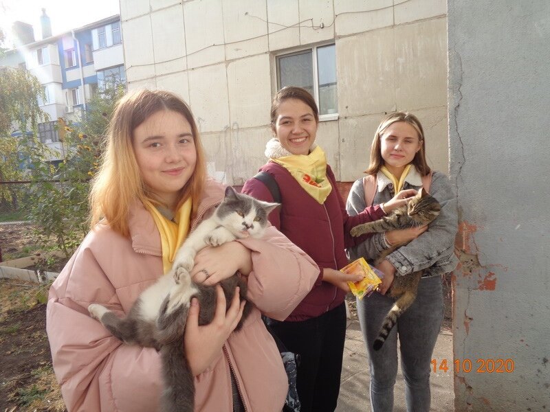 Фото с подопечными передержки