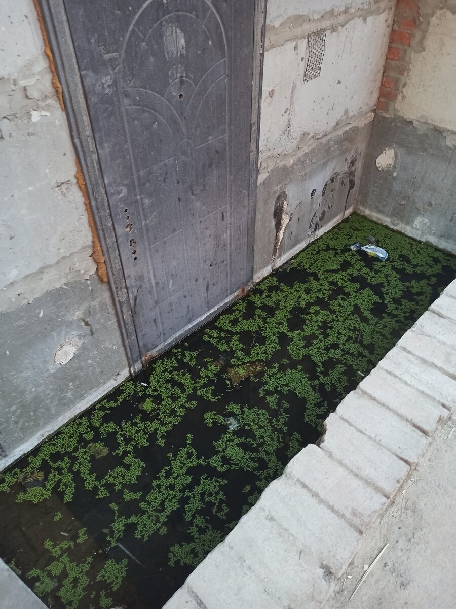 После обильных ливней так выглядят большинство подвалов в Краснодаре. 