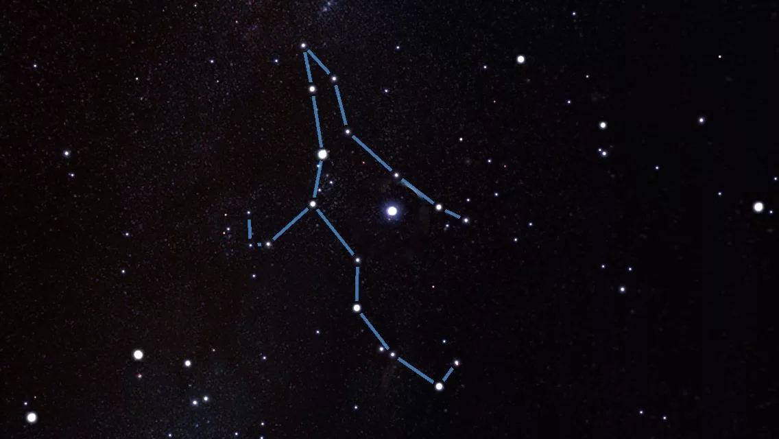 Созвездие 2024г. Созвездие Персея. Созвездие Персея звезды. Персей Созвездие астеризм. Алголь в созвездии Персея.