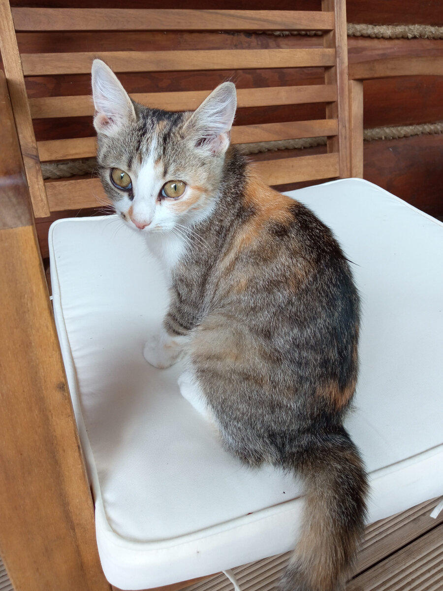 Дуся в первый день