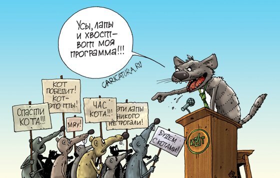 Депутатом может быть каждый!