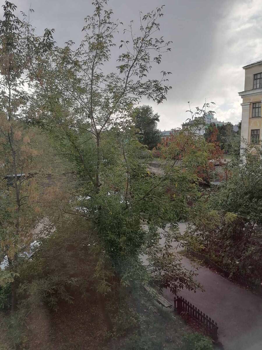 Пятое сентября. Вид из окна. Грустно.