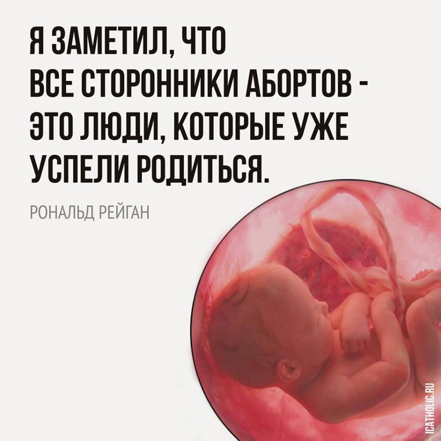 Успели родиться. Цитаты про абортных детях. Высказывания против аборта.