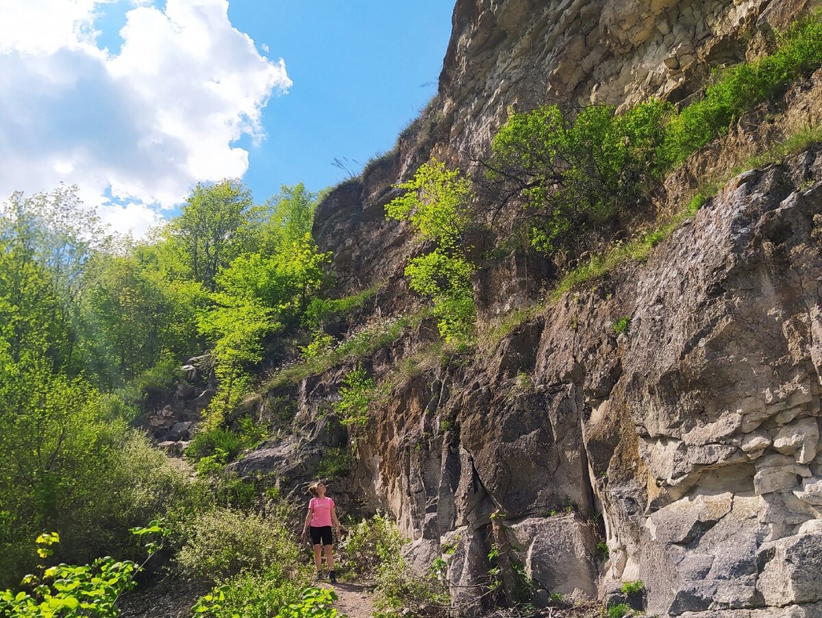 Гора верблюд самарская лука фото