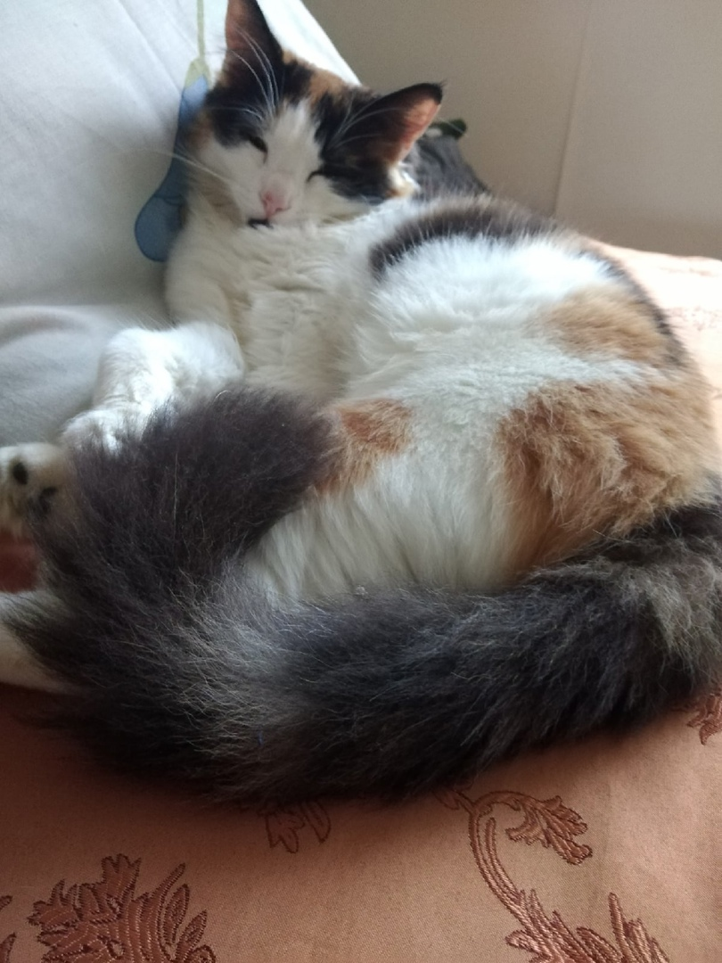 А вот такой красавицей стала через год