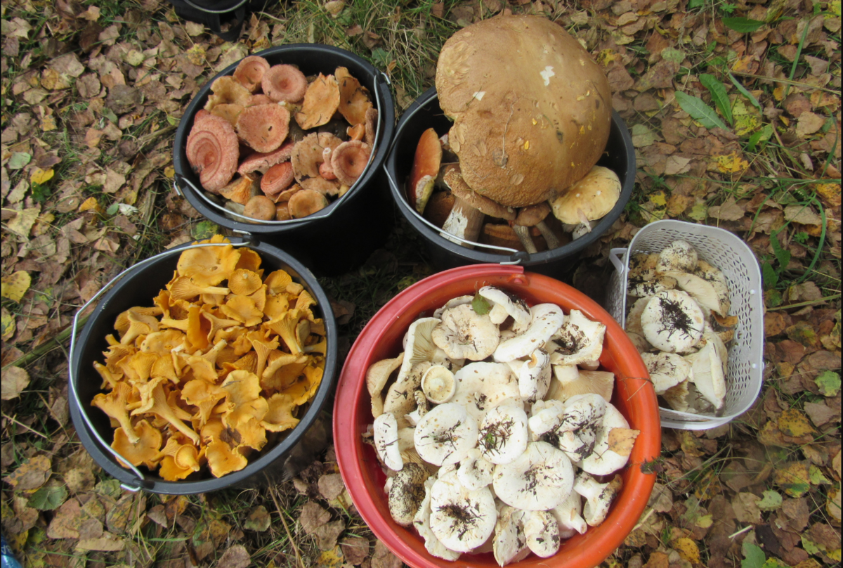 Фото Ольги Букреевой