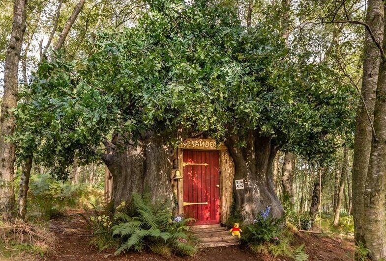 Вход в домик Винни Пуха на территории Эшдаунского леса