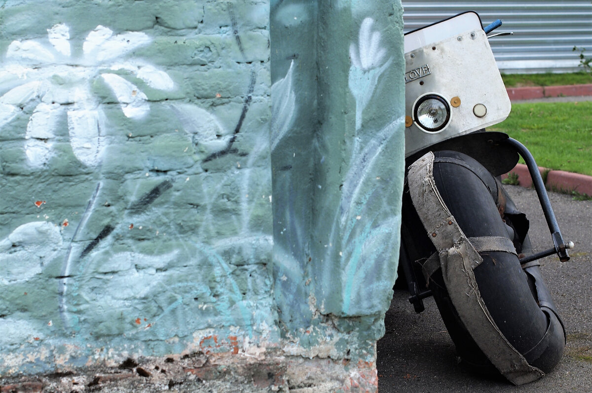 Фото автора