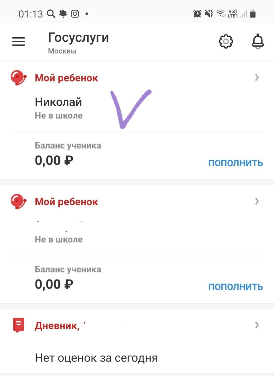 Скрин сайта госуслуг, имя моего настоящего ребёнка я затерла 