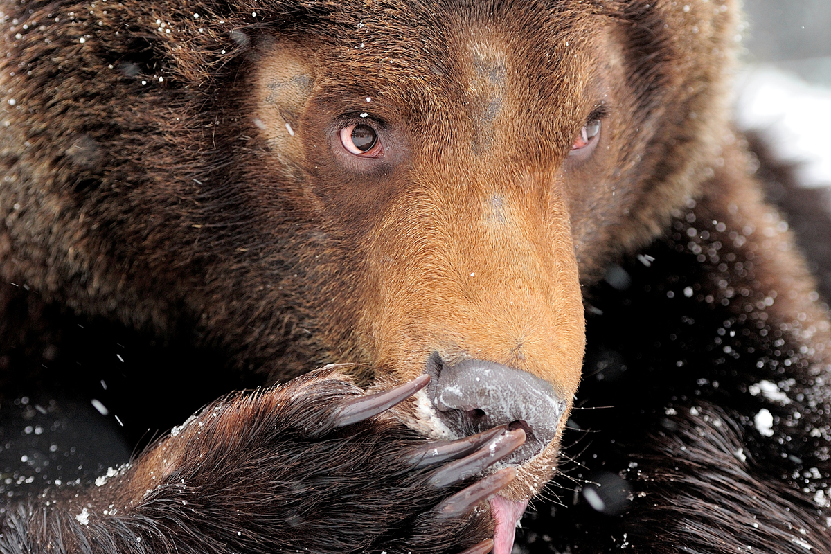 с простора интернета