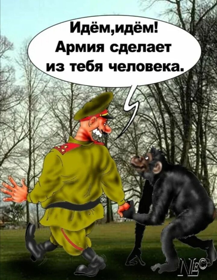 Картинка из интернета. 