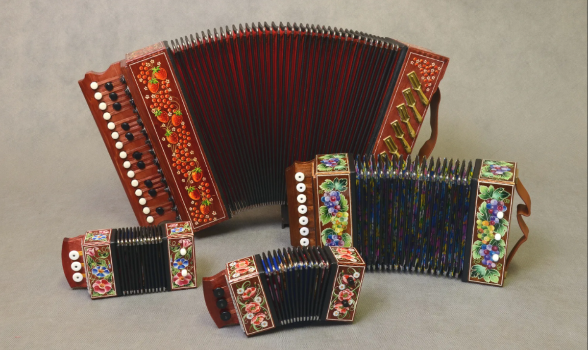 Гармоника музыкальный инструмент. Гармонь муравьева. Баян россия. Трёхрядная гармонь хромка. Гармонь "чайка" (sz48xl, 19х12).