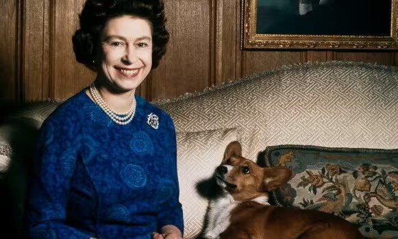 Портрет 1970 года