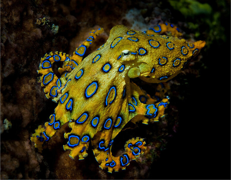 Добавьте описание