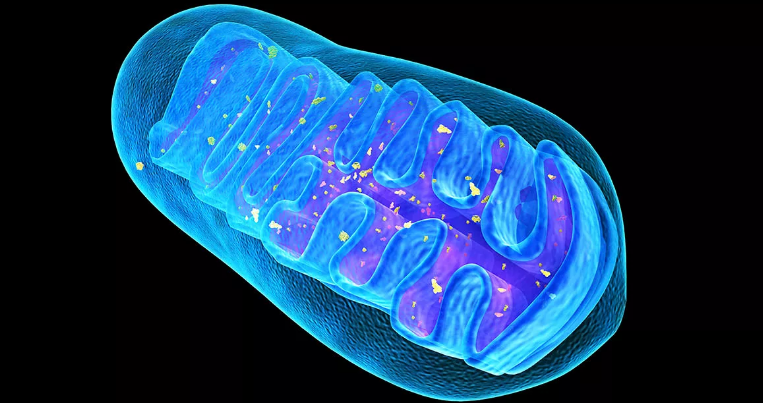 Источник исходника: karatu.ru