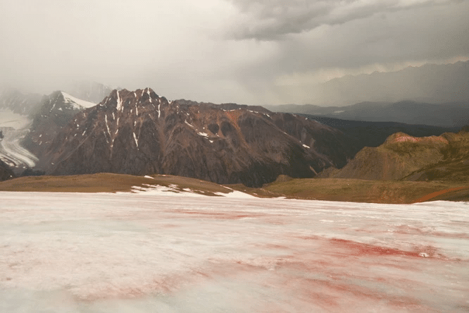    Ледник Водопадный в Горном Алтае / © ГГФ ТГУ