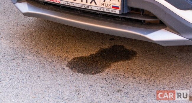 Фото: «CAR.RU»