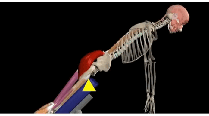 Гиперэкстензия - это разгибание тазобедренного сустава 