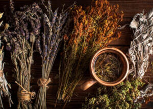 Фитотерапия является самой популярной практикой народной медицины среди россиян. Она включает использование лечебных трав и составляет 38% предпочтений.