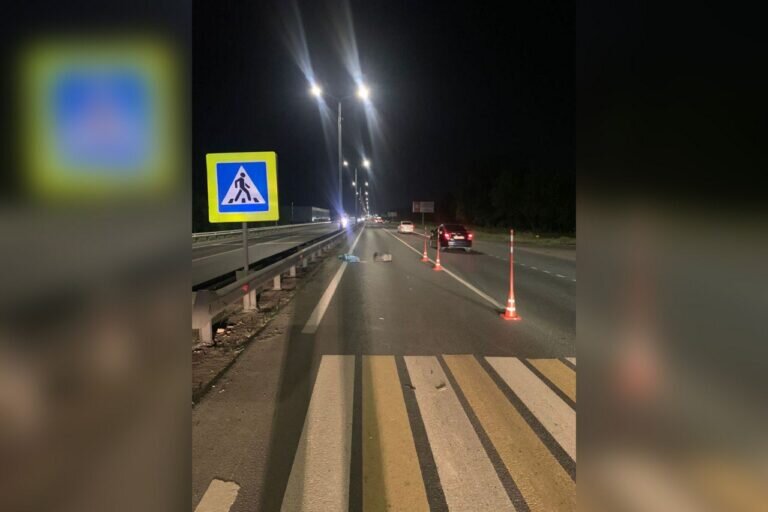    Под Орском на пешеходном переходе в ДТП погиб мужчина Марина Шарт