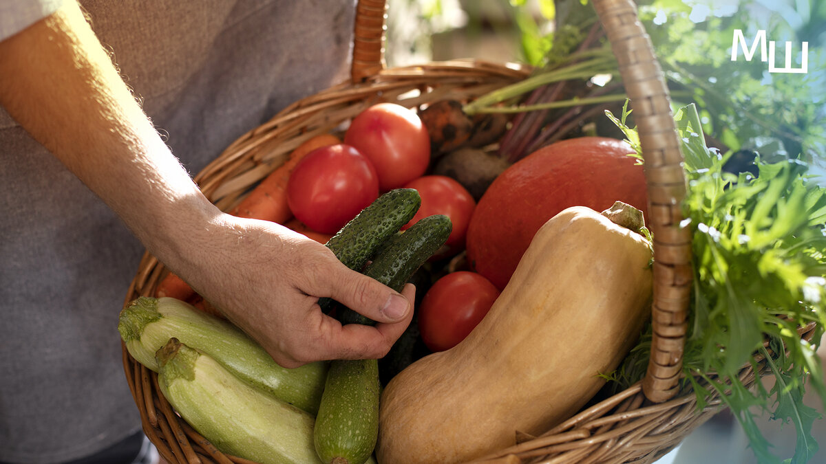 Поможет ли маркировка фермерских продуктов сделать их популярными у  петербуржцев? | Михаил Шконда | Дзен