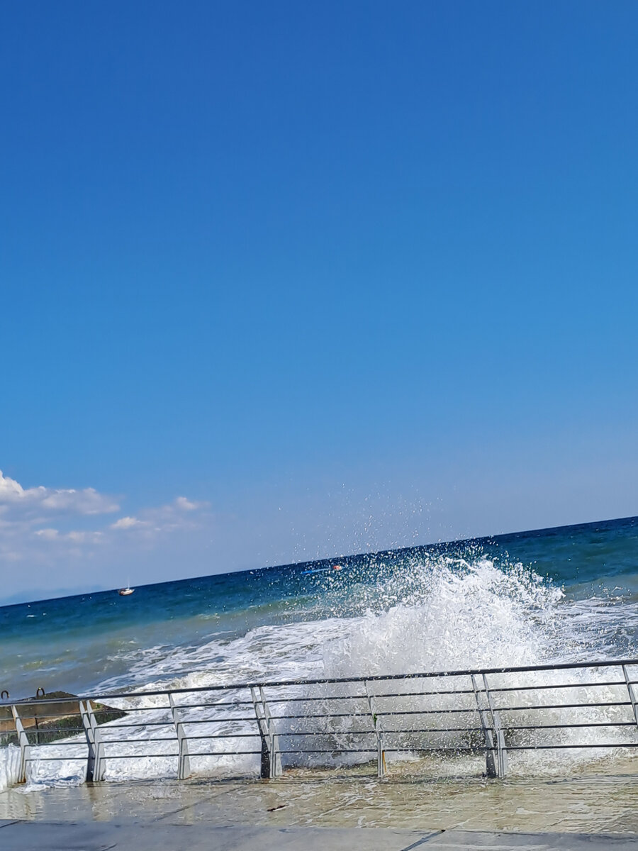 Личное фото автора 