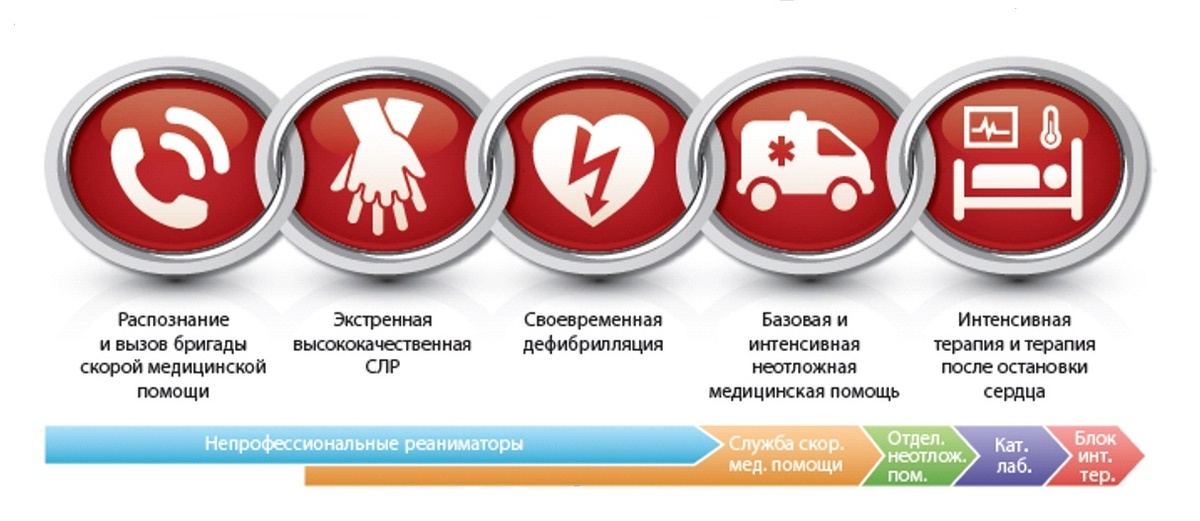 Цепочка выживания.