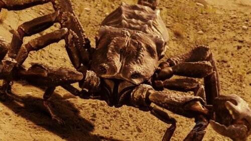 Фото взято из интернета