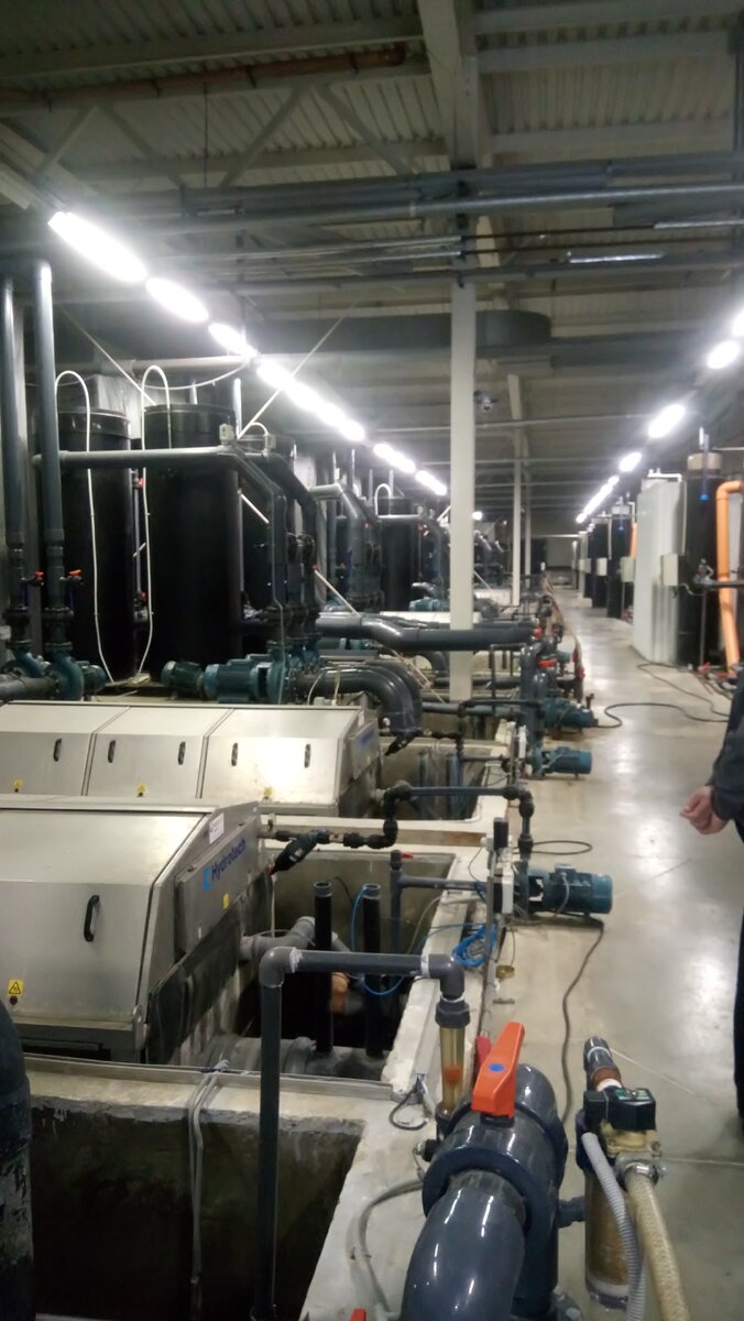 Думаете это атомная электростанция? Нет, "скромная" система фильтрации для рыбного завода. Спроектирована по принципу: почешем левой пяткой правое ухо.