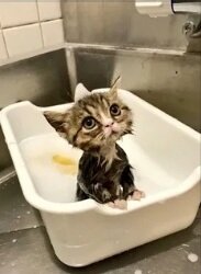 Фото с сервера Яндекс.Картинки