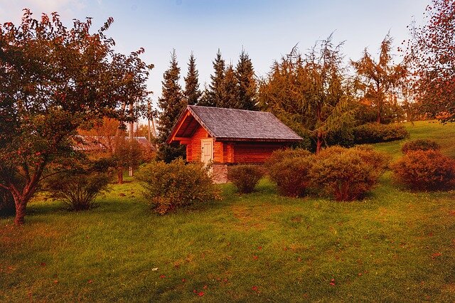 источник фото: pixabay.com