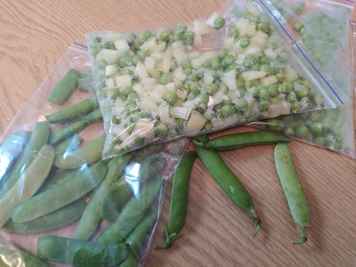 Зелёный горошек замороженный. Можно ли замораживать горошек. Стручковый горох замороженный. Заморозка зеленого горошка на зиму. Зеленый горошек заморозка.