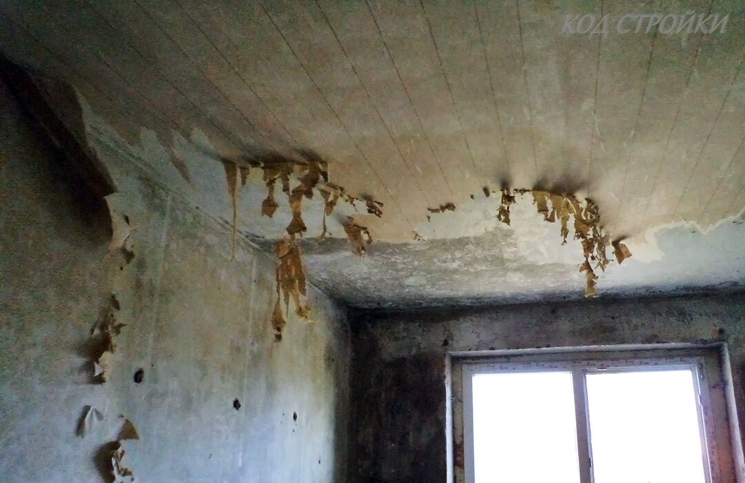 Обои, порой отваливающиеся сами по себе, когда их требуется снять преображаются, вцепляясь в поверхность стен и потолка  