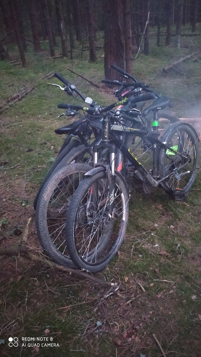 Наш выбор - горный, так как пройдет везде, Шоссейник только для трассы