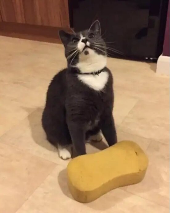 Фото с сервера Яндекс.Картинки