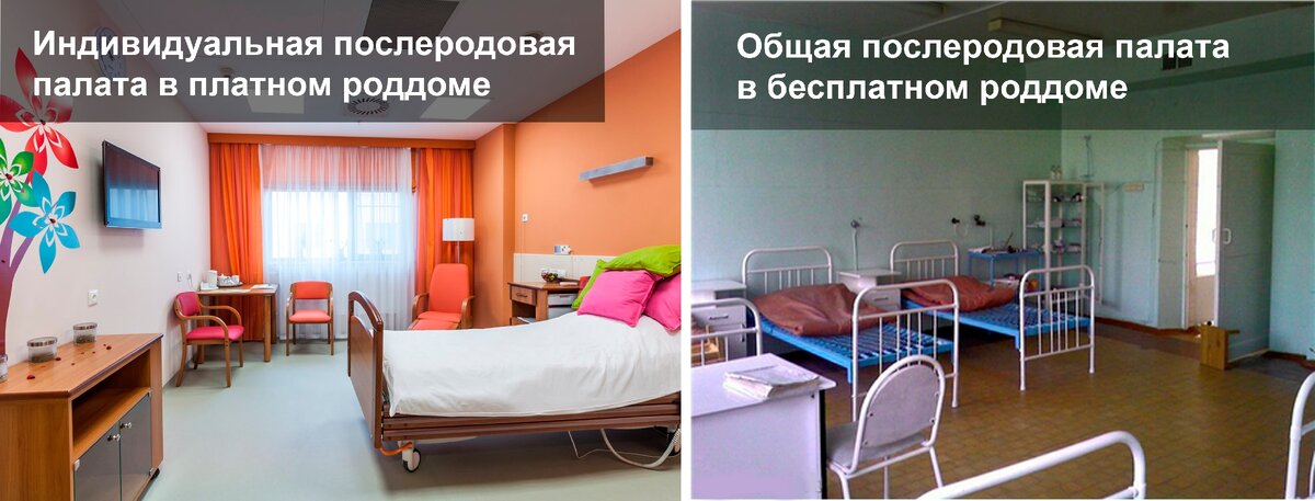 Сравнение послеродовых палат в роддомах: Яндекс Дзен | Мама – это профессия 