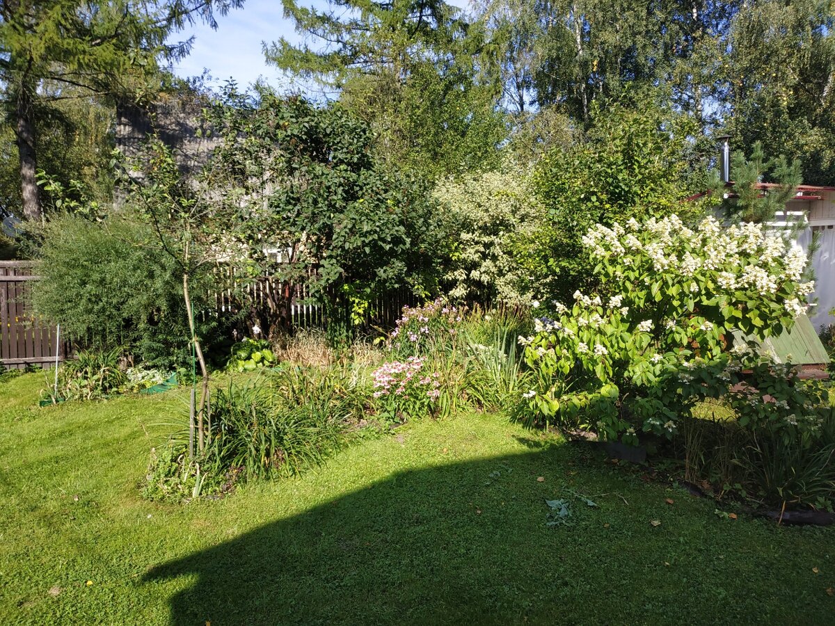 На центральной клумбе доцветают флоксы.