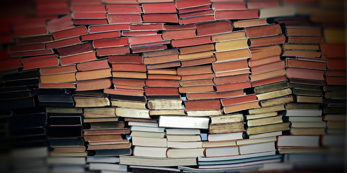 Фотографии взяты из открытых источников