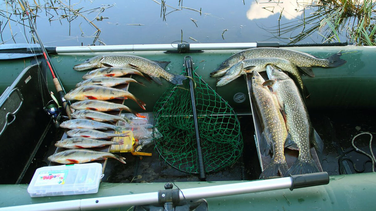 Подписывайтесь на канал - так вы поддержите его и не пропустите новые статьи! Комментарии приветствуются!