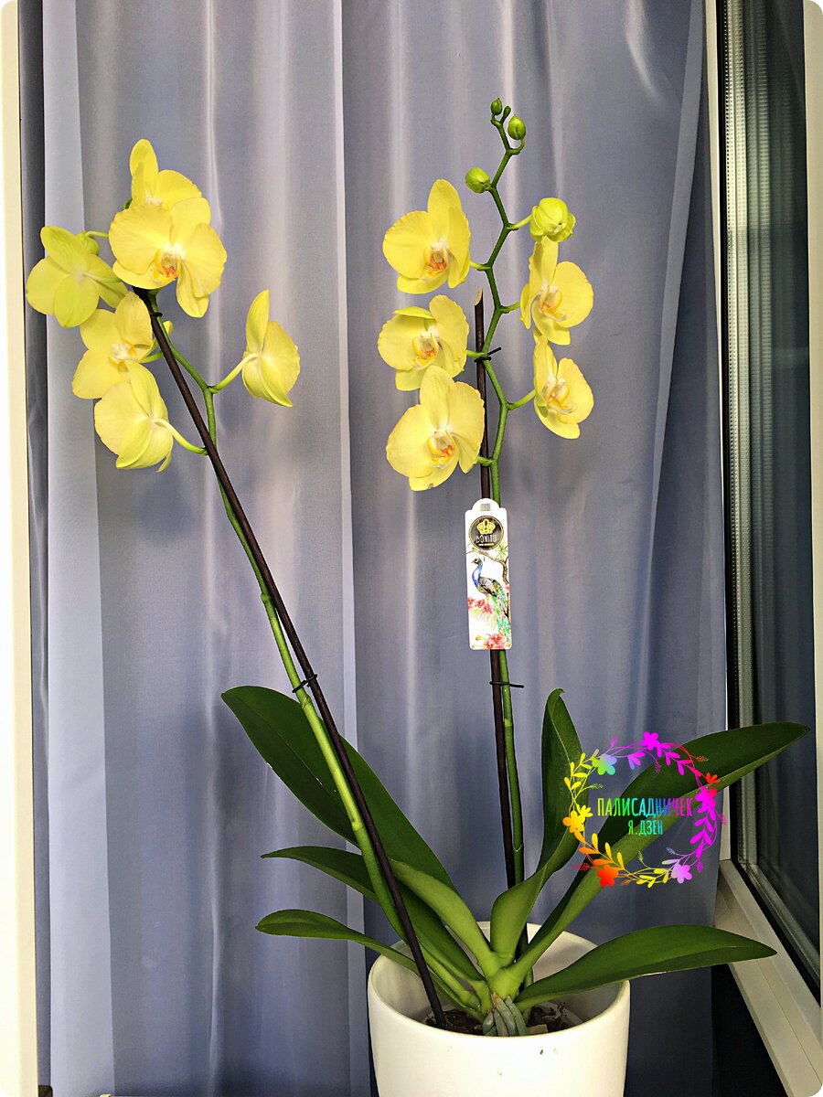 По-моему, ей у нас действительно нравится! 