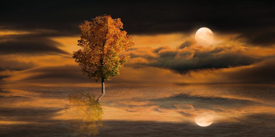 pixabay.com/