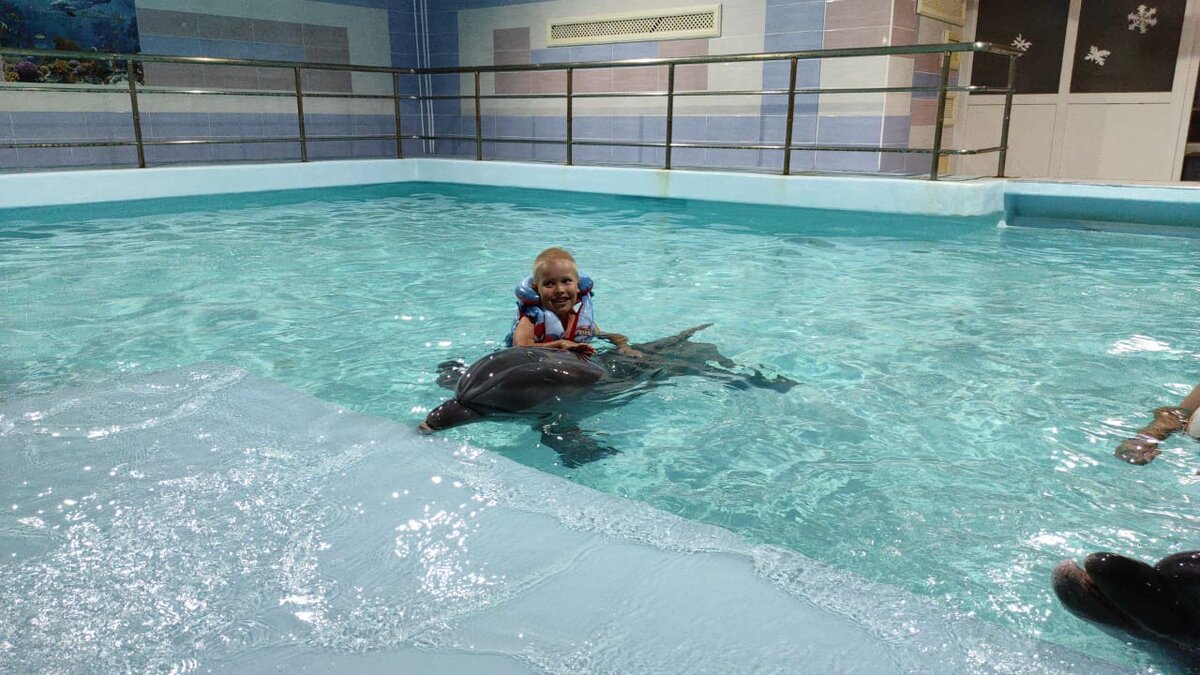 Плавание с дельфинами