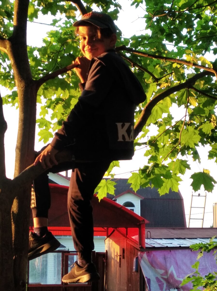 От Максима Пирахмедова