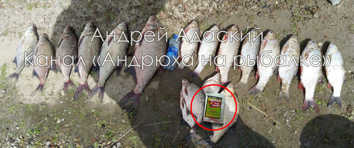 Вот мой недавний улов с этим активатором. Хорошие лещи и язи, всё на одну удочку!