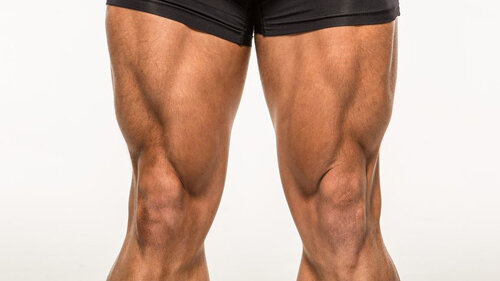 • Квадрицепсы;