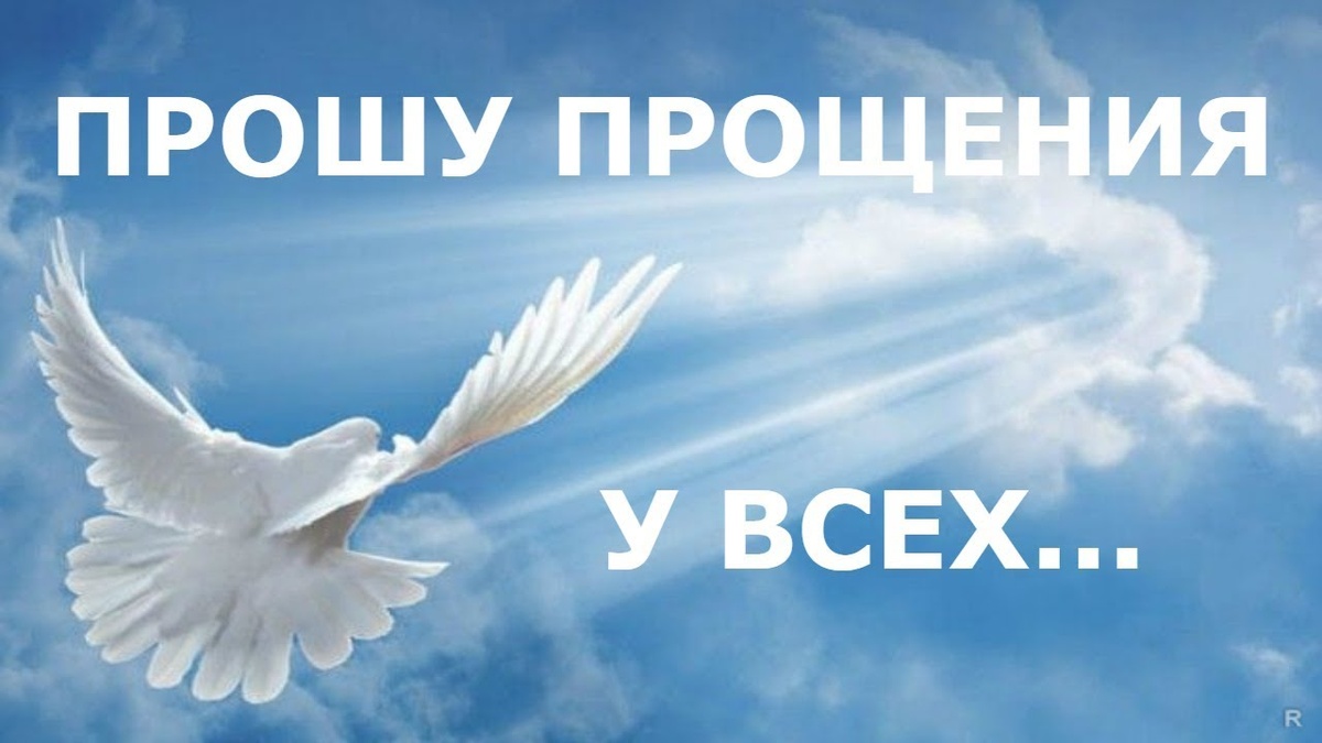 Фото  из  свободного  доступа  Интернета