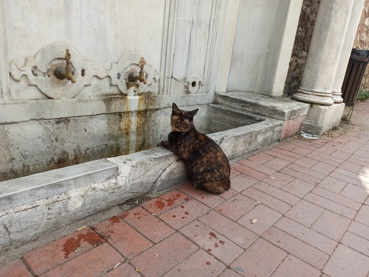 Фото из личного архива