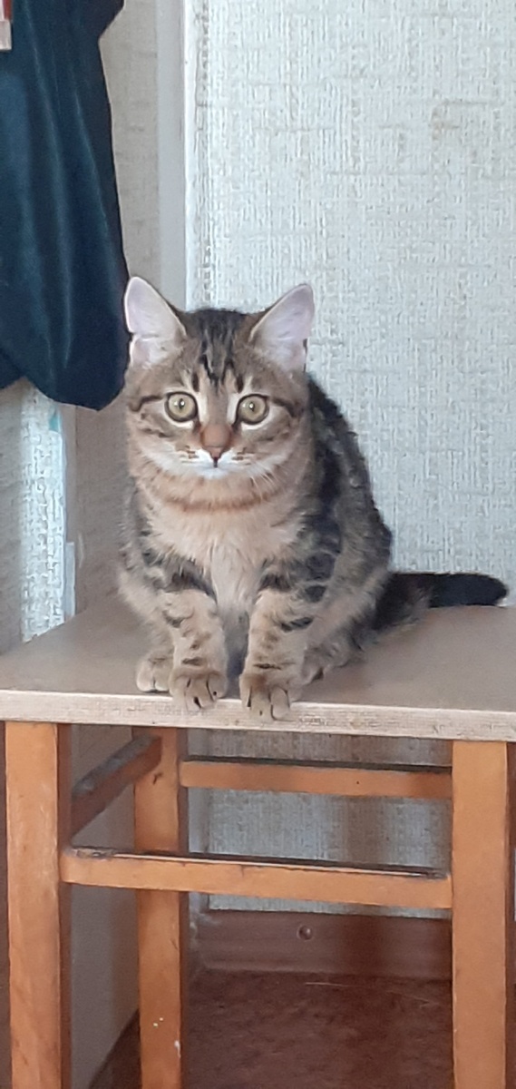 марфуша за месяц хорошо подрасла и набрала вес.